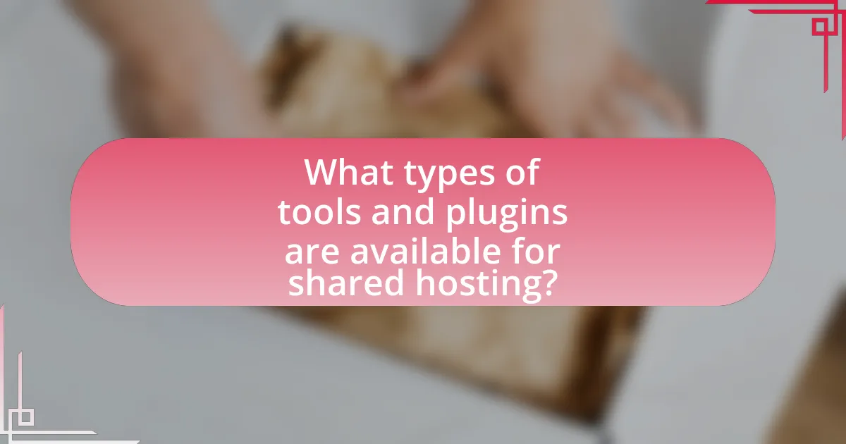What types of tools and plugins are available for shared hosting?